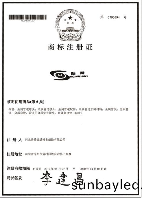 皜舜資質31