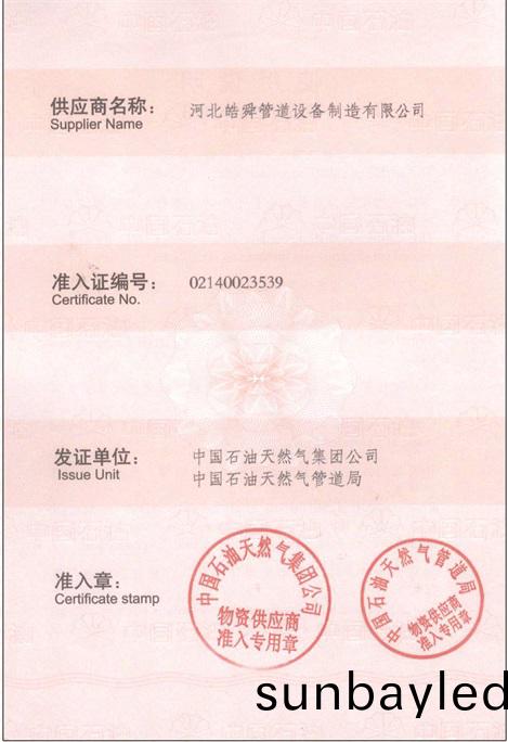 皜舜資質11